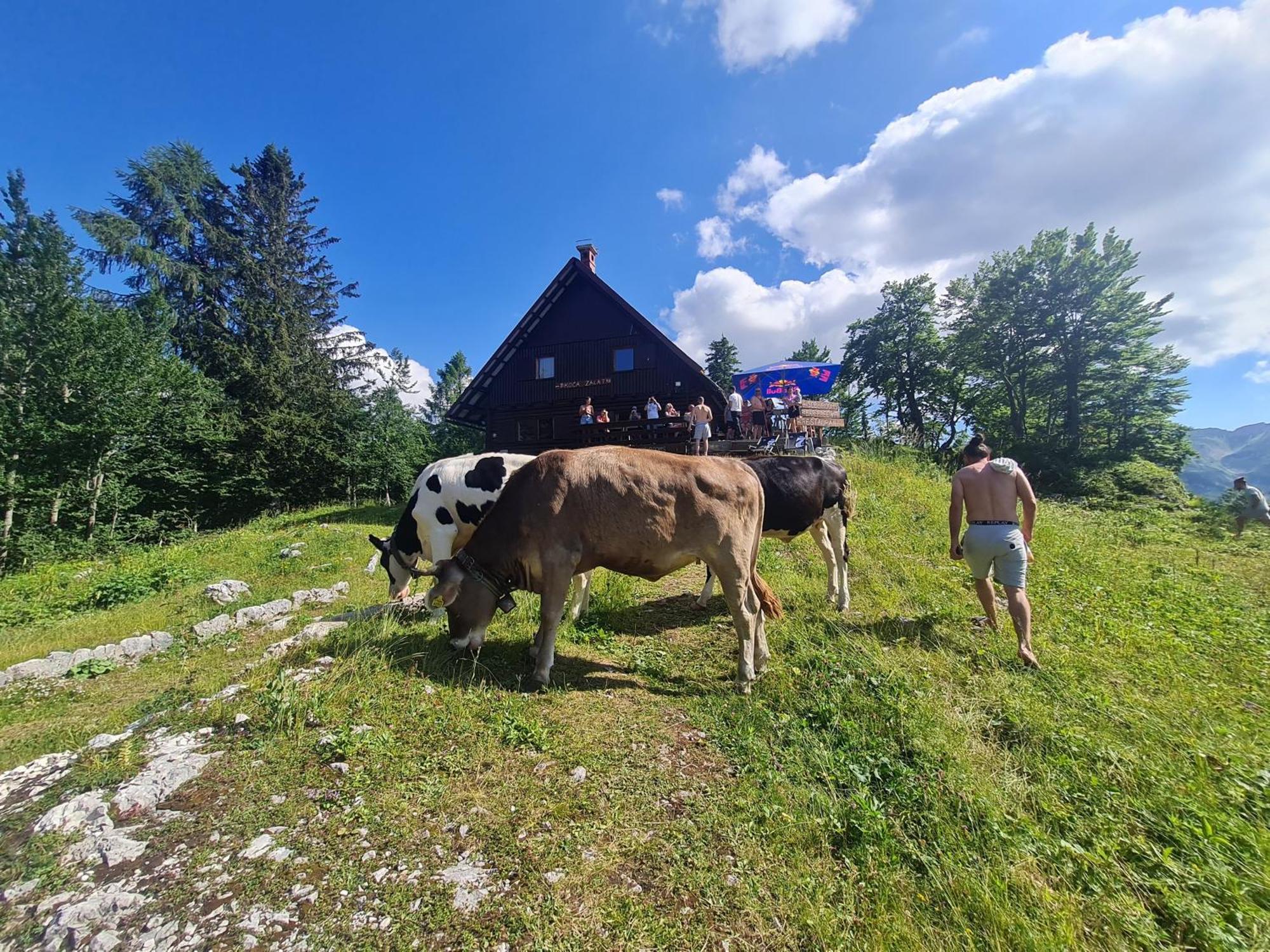 Chalet Burja At Vogel Mountain - Cable Car Access Or Hiking - Not Reachable With Car Bohinj Luaran gambar